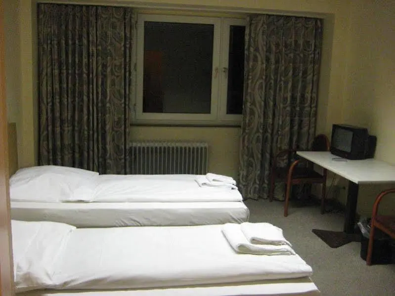 Guest house Pension Alpha - Frankfurt City Central Station Frankfurt am Main
